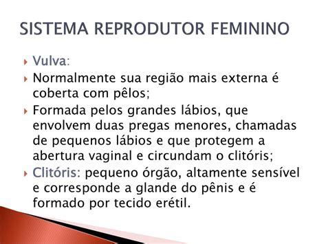 baginas|Vagina: características, sistema reprodutor feminino